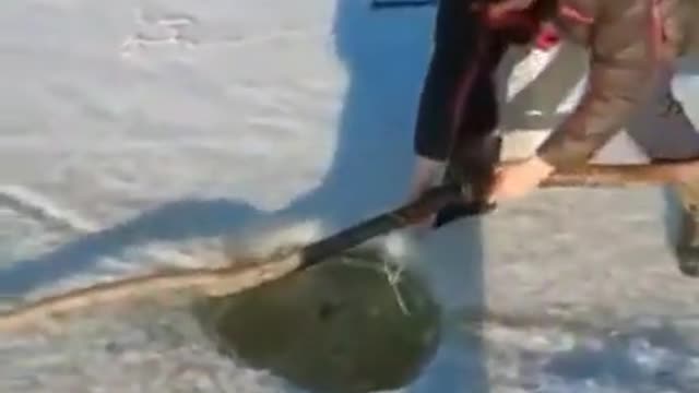 amazing ice fishing