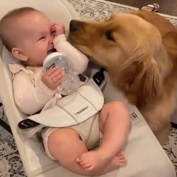 cutepupclipss Friend for life😍🐶🥺