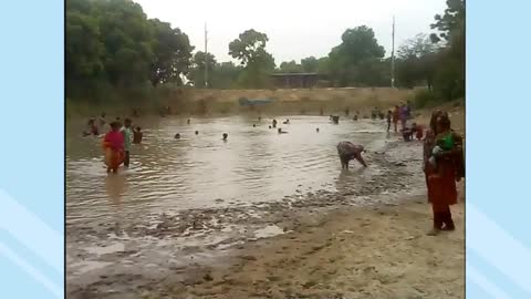 Many People Catch Fish With Net & Hand.