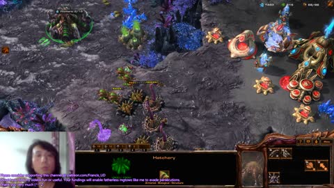 starcraft2 zerg v protoss on stargazers beat mass protoss air forces by spine crawlers queens rush