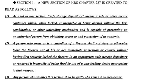 Dem Files Dumb Gun Law
