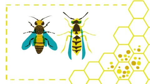 Mouthpart identification can for the most part,help scientistsand you categorize insects