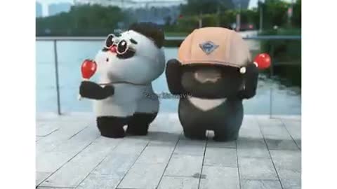 Cute panda🐼 funny video