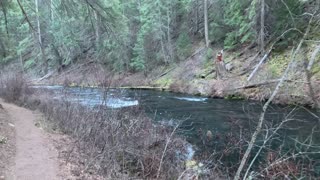 Undervalued Mighty Metolius River – Central Oregon – 4K