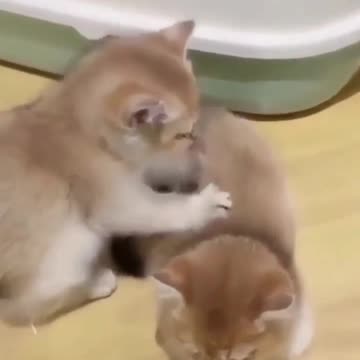 Giving a little message 🥰