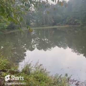 A Home And A Lake “Gods Love” 🙏 #shorts