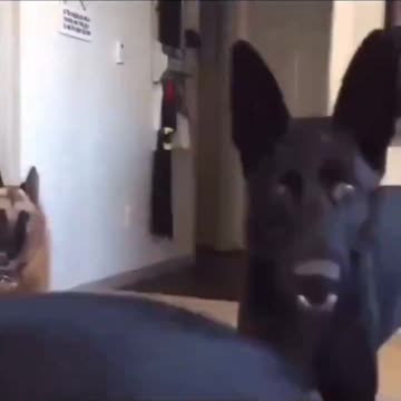 “We Dare You” | Anons wishing they would announce Big Mike’s campaign. 🤤