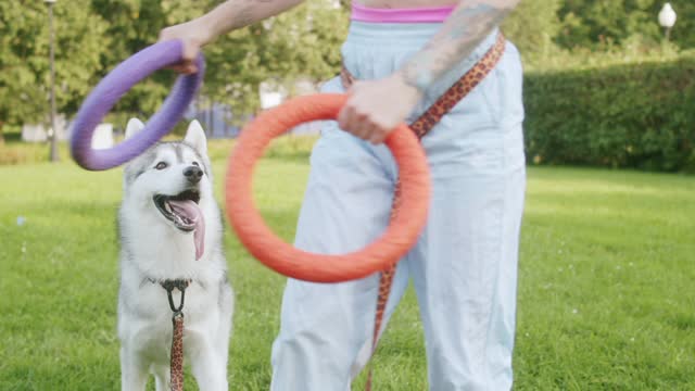 Playing dog 🐕 with girls batiful dog