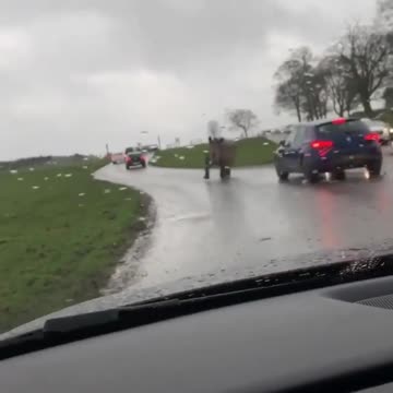Crazy !!! rhino attacks driver on road