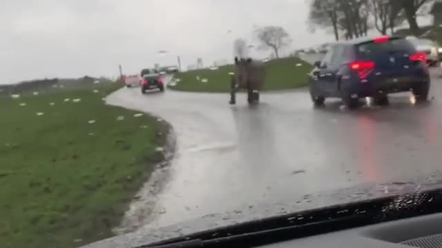 Crazy !!! rhino attacks driver on road
