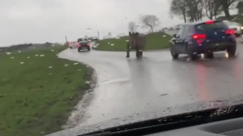 Crazy !!! rhino attacks driver on road