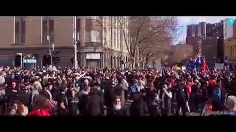 Melbourne Freedom Rally Highlights - July 24 2021