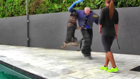 How to make your dog fully agressive !!!