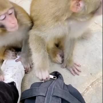 Mix of comedy just enjoy