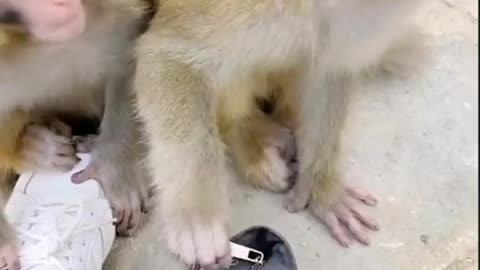 Mix of comedy just enjoy