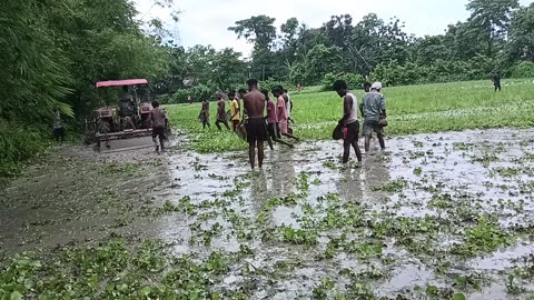 Puddling and fishing .Village life farming