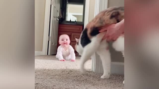 Baby sees cat for the first time... you won’t believe her reaction! (SUPER CUTE)