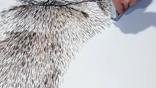 Men Bird pick