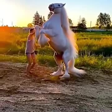 You are my favorite 💛