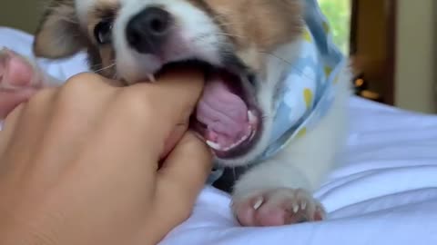 why you gotta be so cute tho?🥺