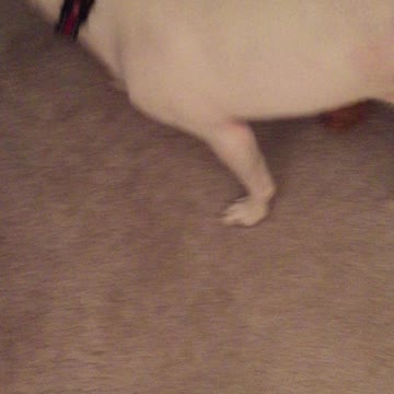 Rescue learning to sit