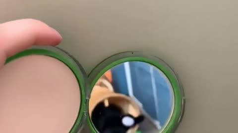 "✨ DIY tip ✨ I think I should change professions 👷🏻‍♂️"