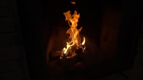 Camp Firre