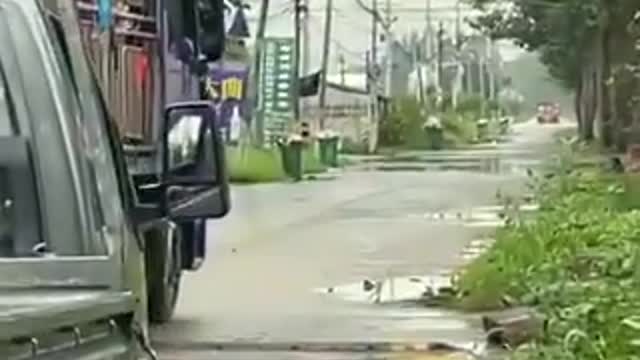 The vaccinated headed off to the meathouse?