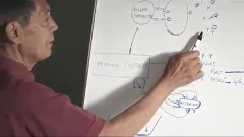 Prof. Bhakdi erklärt Antikörper und Impfen