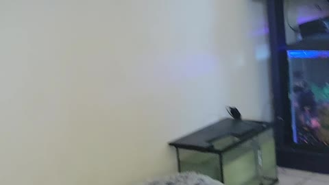 Richie sings to his mom