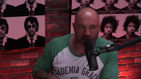 JRE #702 - Milo Yiannopoulos