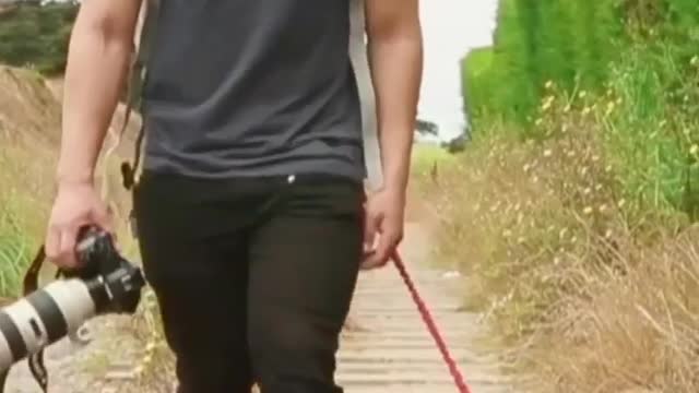 "Go on a mental health walk. You might end up meeting the person that puts you on a right path 🐈🕺🏻✨"