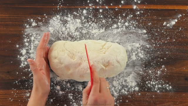 Best Homemade Pizza Dough Recipe