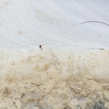 Frothy one for sure!!!!