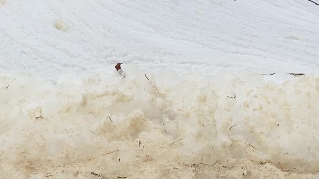 Frothy one for sure!!!!