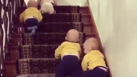 Funny baby videos to keep you entertained, latest 2022