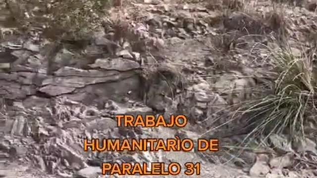 Humanitarian