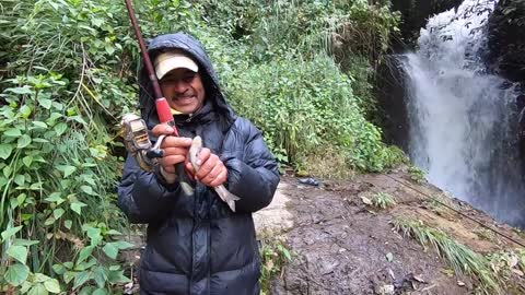 Asala fishing at himalayan river.