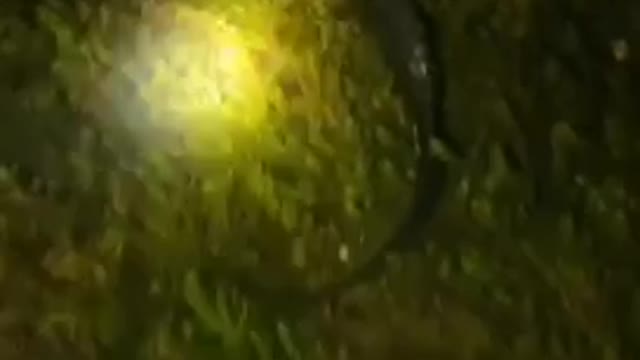 Don't Try This At Home!!!