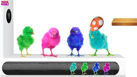 Colorful Chicks Xylophone _ Learn Colors with Animals _ HAHA Toys