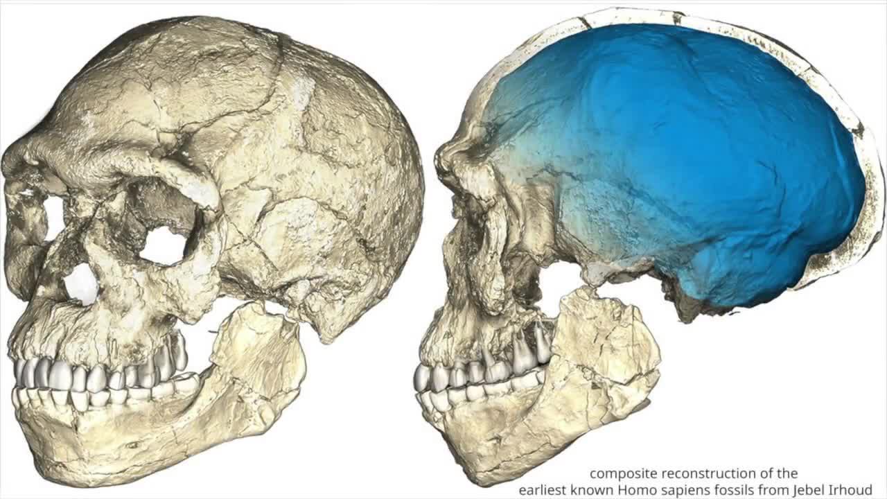 BREAKING NEWS: The oldest Homo sapiens has been discovered in Morocco.