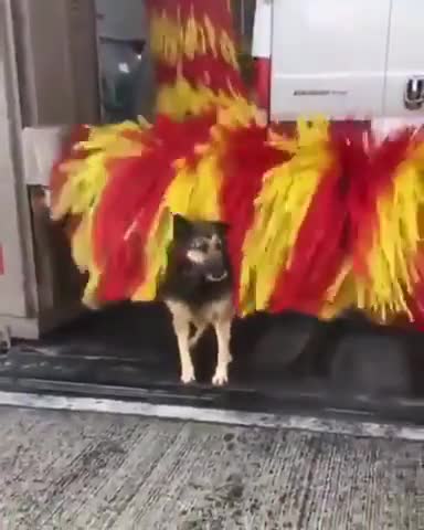 When You Have To Get That Itch Scratched