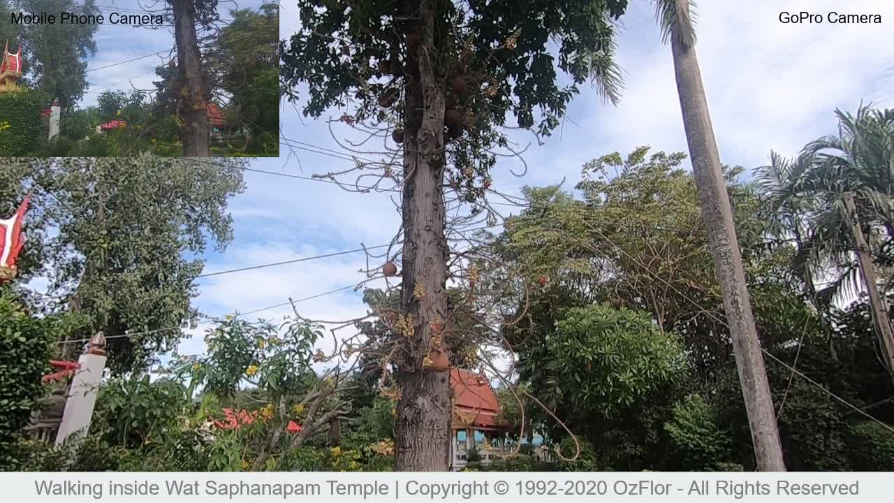 Walking inside Wat Saphanapam Temple | Copyright © 1992-2020 OzFlor - All Rights Reserved