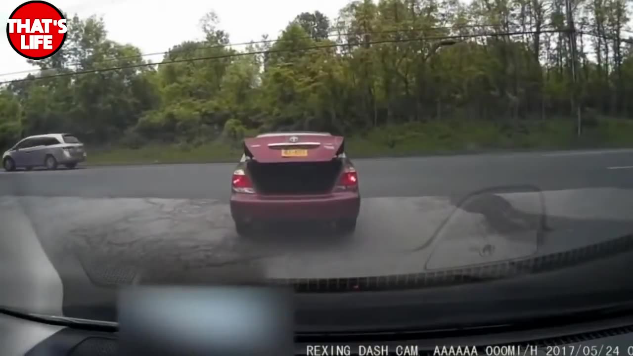 Funny Women Who Totally Failed at Driving - Women Wholly Stupid Drivers | Funniest Mistakes
