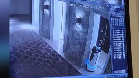 Hotel customer kicks robot out of elevator in southern China