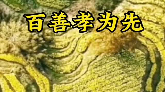 Chikako about merchants