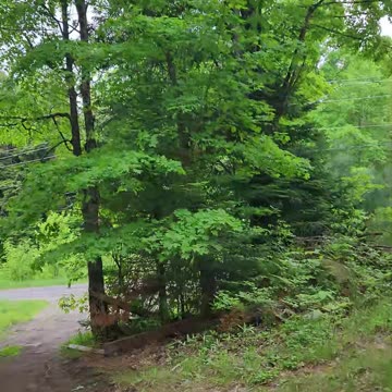 05-27-24 | Tornado Watch At Camp | Part-1 | #shorts