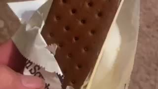 Braun’s ice cream sandwich.