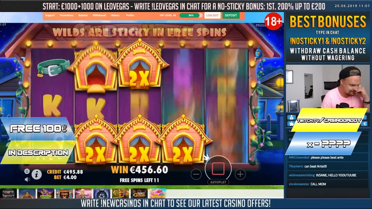 The Dog House top 5 BIG WINS - Record win on slot