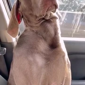 No! I'm not sleeping